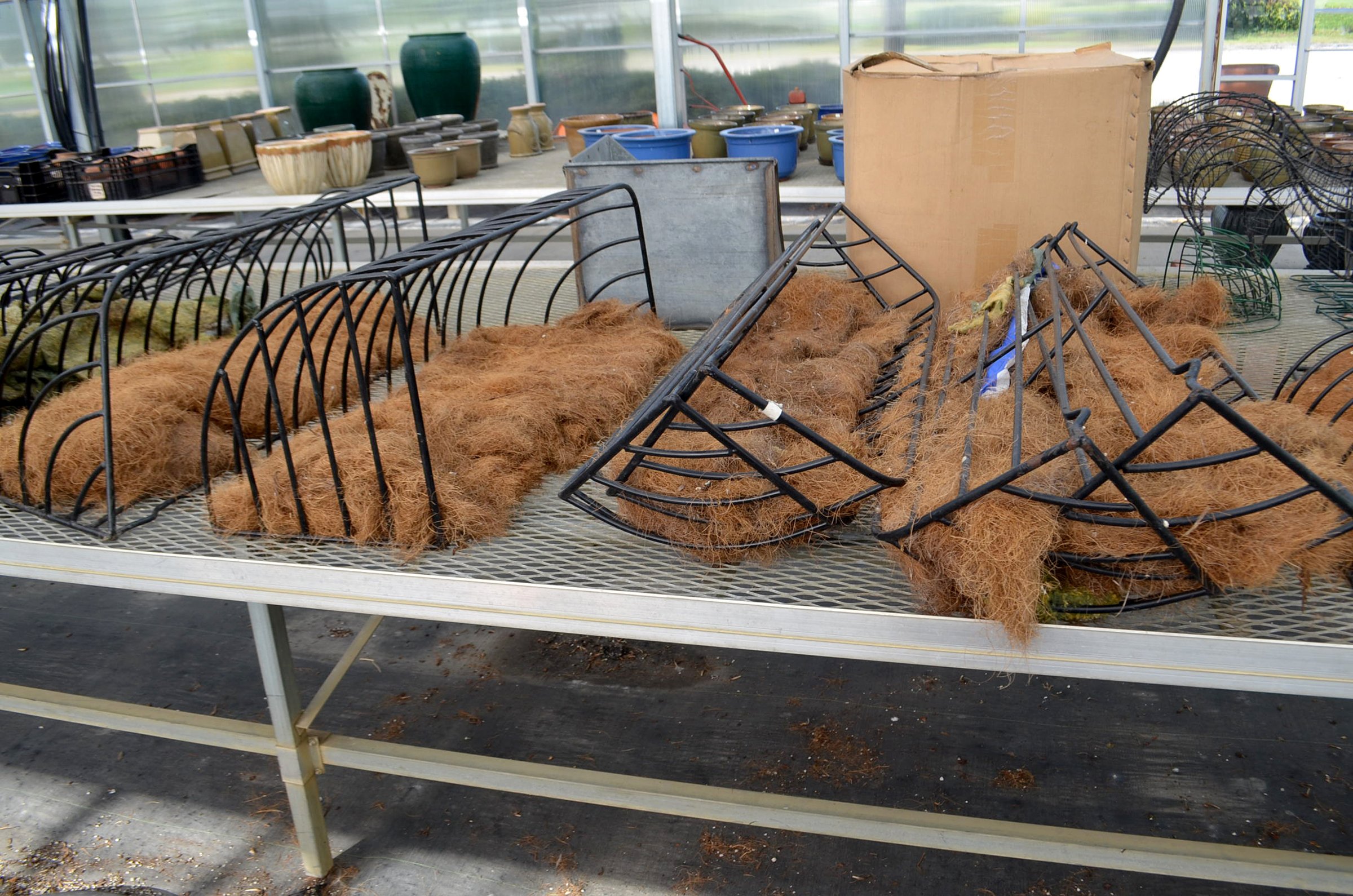 Property photo 43 - PERSONAL PROPERTY AUCTION OF DEWALD GARDENS IN ALLEN COUNTY, INDIANA